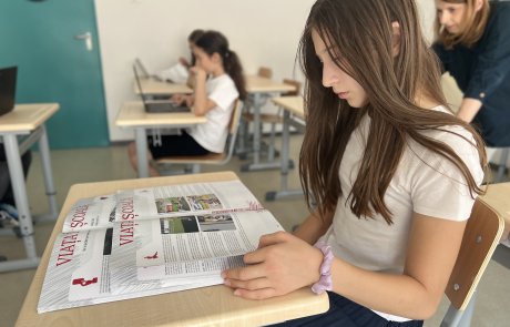 detectivi de articole