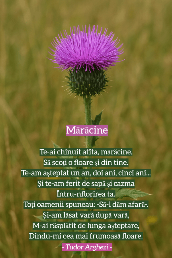 Maracine cu versuri