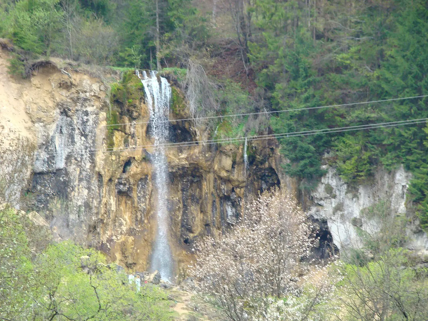 https://ro.wikipedia.org/wiki/Cascada_Pi%C8%99oaia#/media/Fi%C8%99ier:Cascada_Pi%C8%99oaia2008_(1).jpg
